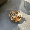 牡蠣屋