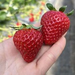 姫路ハートフル観光農園 - 