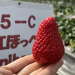 姫路ハートフル観光農園 - 