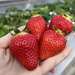 姫路ハートフル観光農園 - 