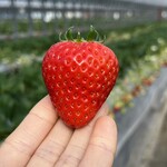 姫路ハートフル観光農園 - 