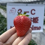 姫路ハートフル観光農園 - 