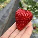 姫路ハートフル観光農園 - 