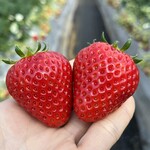 姫路ハートフル観光農園 - 