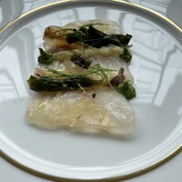 SALONE TOKYO - 