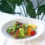 APOLLON FRUIT GARDEN - 