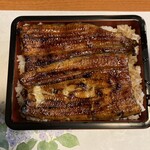 Unagi Ikeda - 