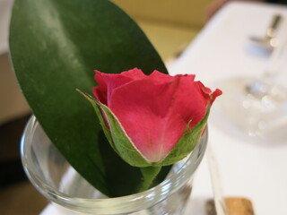 Restaurant Kobayashi - 25年12月　テーブル上のお花