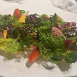 レフェルヴェソンス - 