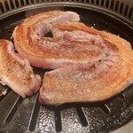 ユッケ 焼肉 生サムギョプサル 手打ち冷麺 ハヌリ - 