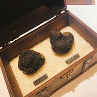 マルゴット エ バッチャーレ - 