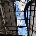 喜林 - 湯殿を出て、中庭で和む。いいねえ。