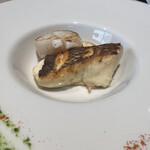 ⁡⁡鉄板 EMURGO - 