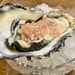 ビストロ ティアボ - 