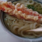 手打ちうどん 小野 - 