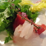 うなぎ屋酒坊・画荘 越後屋 - ８０００円コース（豪華な前菜）　※ひらめとマグロ