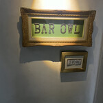 BAR Owl - 