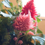 モジョ コーヒー - 