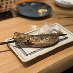 Robata Toudai - 