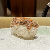 朧 - せこがに