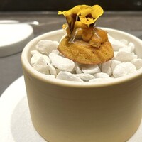 CIRPAS - 