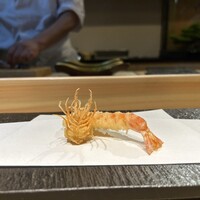 京橋 天冨良と鮨 いしい - 
