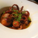 タケル クインディチ - 2013年12月　イイダコのトマト煮