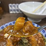 ヌードル＆スパイスカレー 今日の1番 - 和風ポークカレー　あっぷ