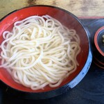 こまどりうどん - 料理写真:釜揚げうどん