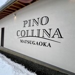 PINO COLLINA - 
