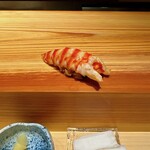 鮨 しょう太 - 車海老