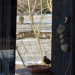 くつきそば 永昌庵 - 