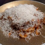 SATOブリアン - ボクたちが望むまま、どっさりと気前よくパルミジャーノを削りかけてくれたよ＼(^o^)／