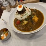 タシモリカレー - プレミアム野菜たっぷりカレー