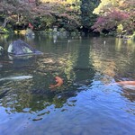 食堂ユリ - 成田山