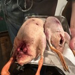 焼肉・ホルモンバル　Bovin - 