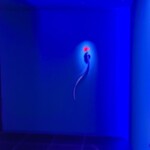 EL DORADO / ホテル イル・パラッツォ - 