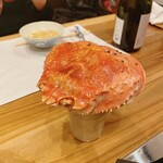 蕎麦割烹  倉田 - 