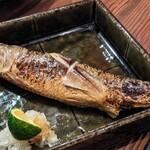 鰯屋 カタクチ - 