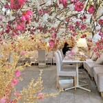 HAUTE COUTURE CAFE OMOTESANDO - 