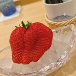 勢麟 - 巨大な紅ほっぺ