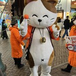 勢麟 - 繁華街のネコ