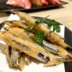 九州寿司 寿司虎 Aburi Sushi TORA - 