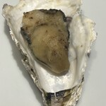 ザ オイスタールーム - 