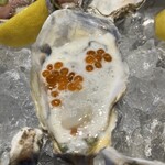 ザ オイスタールーム - 