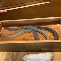 にょろ助 銀座 - 