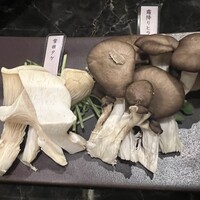 シャングリラズシークレット 銀座店 - 