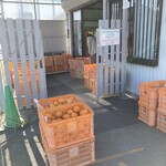 田舎の市場 - 