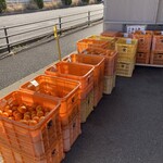 田舎の市場 - サイズ色々。