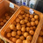 田舎の市場 - 